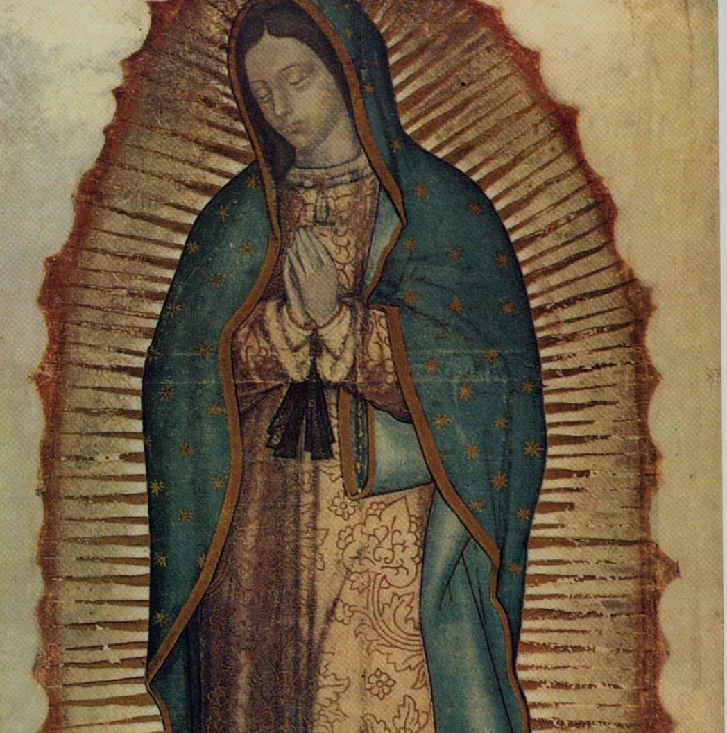 Virgen de Guadalupe, Madre de la Vida